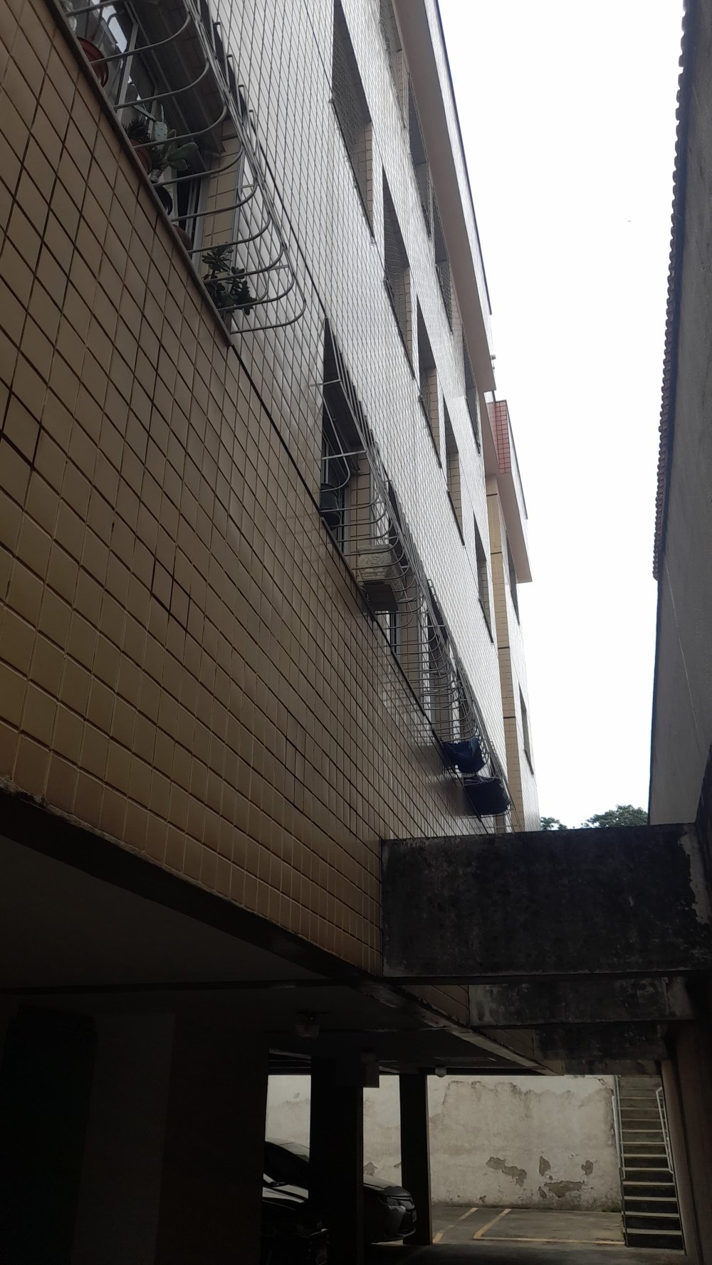 Apartamento - Venda - Sagrada Famlia - Belo Horizonte - MG
